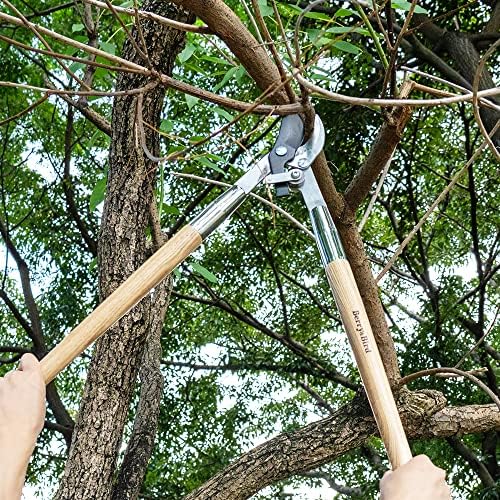 Berry & Bird Loppers ve Budayıcılar Ağır Hizmet Tipi, Bileşik Hareketli 30 inç Bypass Loppers, Uzun Saplı Ağaç Düzeltici, ⌀ 1-3/4 inç