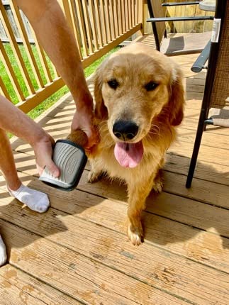 Duke-N-Boots Paw Scrubber, Köpekler için Temizleyici, Bej ve Gri Silikon, Tek Beden En Çok Uyan