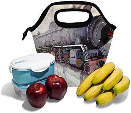 HEOEH Tren Sanat Yağlıboya Öğle Yemeği soğutucu çanta Tote Çanta Yalıtımlı Fermuar Öğle Yemeği Kutuları Çanta Açık Havada Okul Ofis