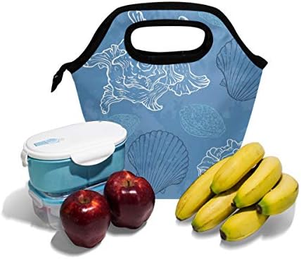 HEOEH Kabuklu Plaj Mavi Öğle Yemeği soğutucu çanta Tote Çanta Yalıtımlı Fermuar Öğle Yemeği Kutuları Çanta Açık Havada Okul Ofis