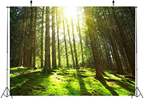 CORFOTO Kumaş 9x6ft Doğa Orman Zemin Tema Fotoğraf Dev Ağacı Kaya Yağmur Ormanları Yolu Bahar Manzara Arka Plan Dekor için Yenidoğan