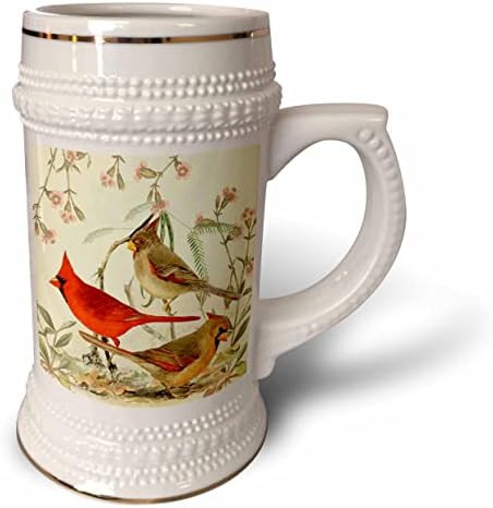 3dRose Vintage Kuşlar Kardinal Çift ve Pyrrhuloxia Kuşu Yazdırır. - 22oz Steın Kupa (stn-364686-1)