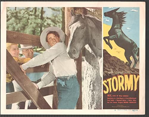 FİLM AFİŞİ: Fırtınalı 11 x 14 Lobi Kartı 5 Rex Atların Kralı Noah Beery, Jr. Jean Rogers Western