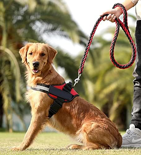 Küçük, Orta ve Büyük Köpekler için Evcil Hayvan Gerilimsiz Koşum Takımı + El Tasması, Boğulmadan Eğitim, Yürüyüş ve Koşu için Kolay